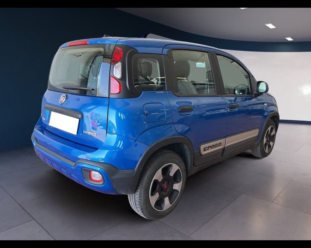 Fiat Panda Cross usata a Torino (9)