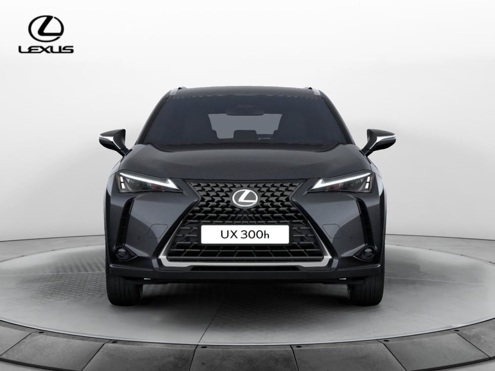 Lexus UX nuova a Cremona (3)
