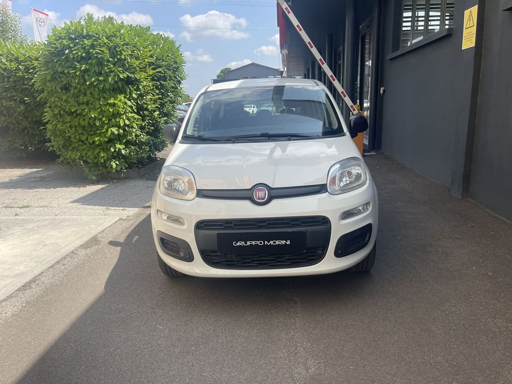 Fiat Panda usata a Bologna (3)