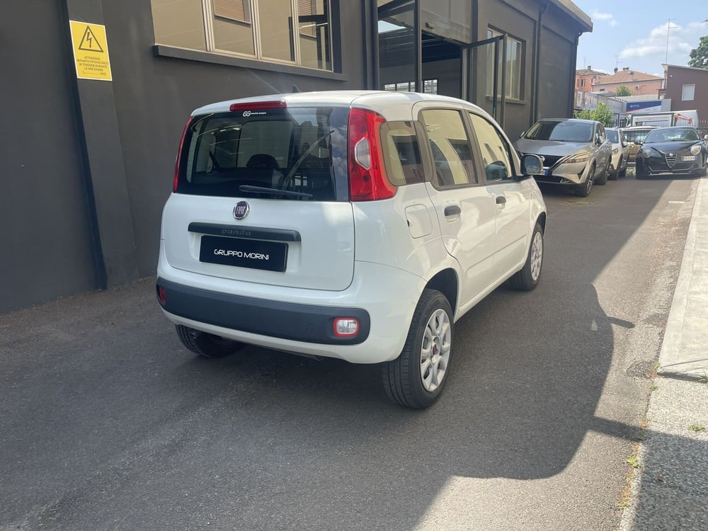 Fiat Panda usata a Bologna (6)