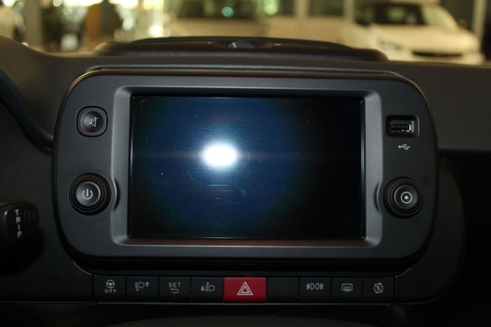 Fiat Panda Cross usata a Cremona (11)