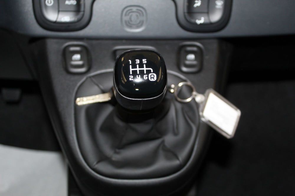 Fiat Panda Cross usata a Cremona (13)