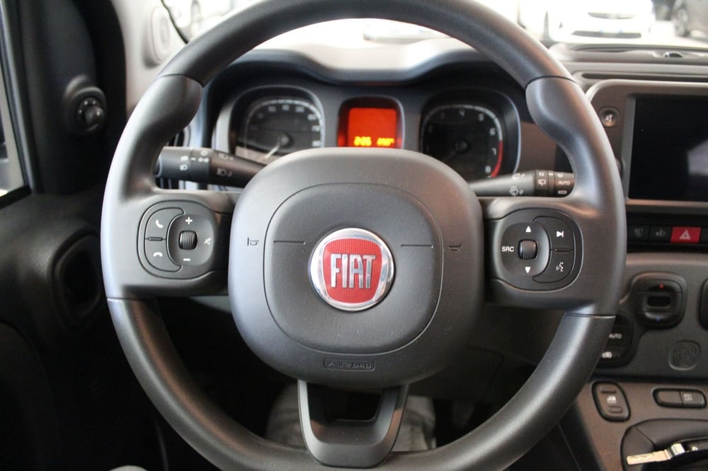 Fiat Panda Cross usata a Cremona (9)