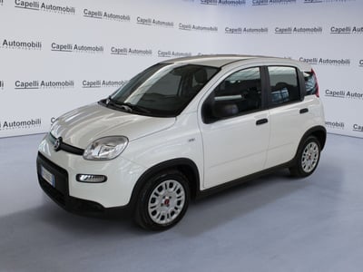 Fiat Panda Cross Cross 1.0 FireFly S&amp;S Hybrid del 2022 usata a Casalmaggiore