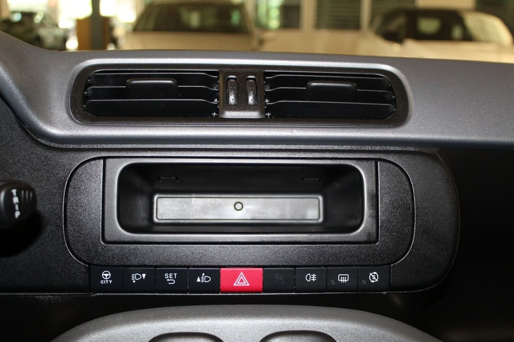 Fiat Panda Cross usata a Cremona (14)