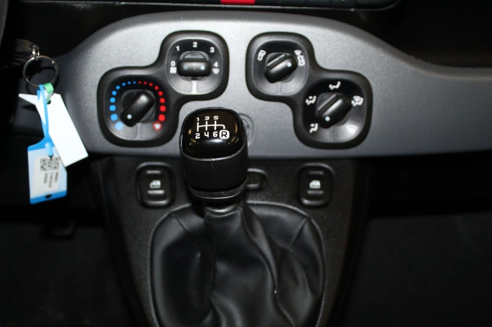Fiat Panda Cross usata a Cremona (15)