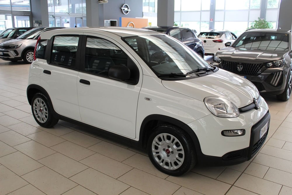 Fiat Panda Cross usata a Cremona (2)