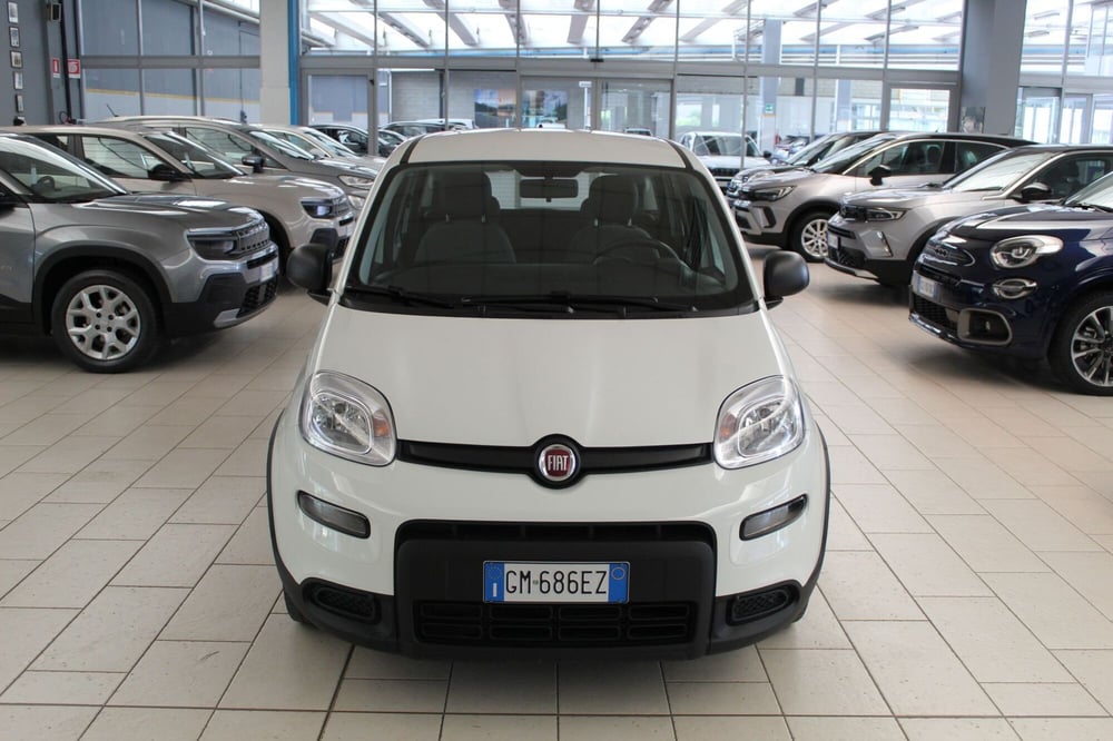 Fiat Panda Cross usata a Cremona (3)