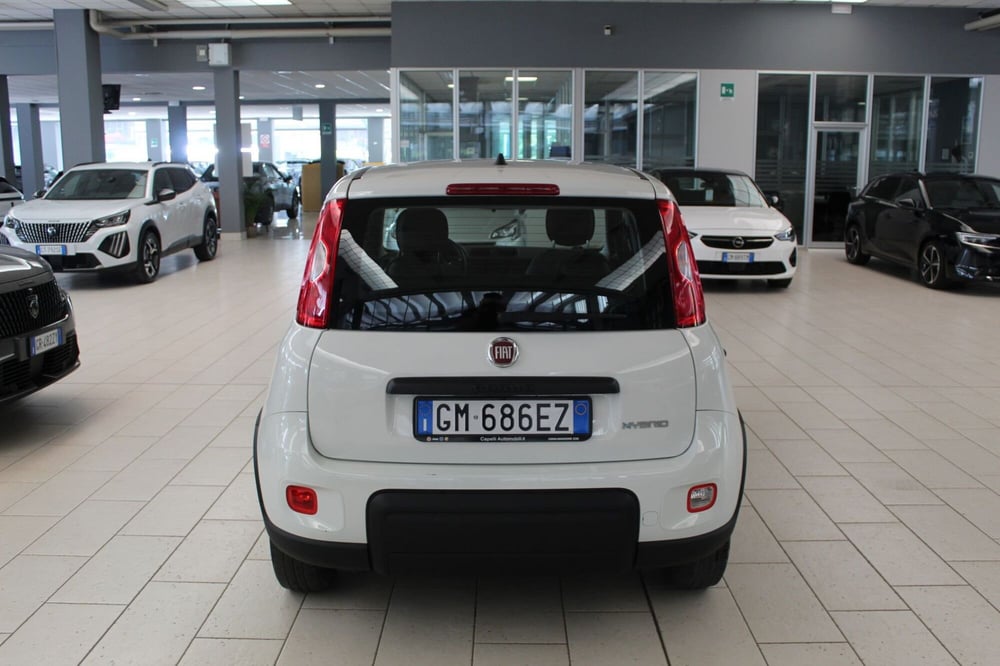 Fiat Panda Cross usata a Cremona (4)