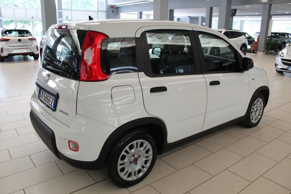 Fiat Panda Cross usata a Cremona (5)