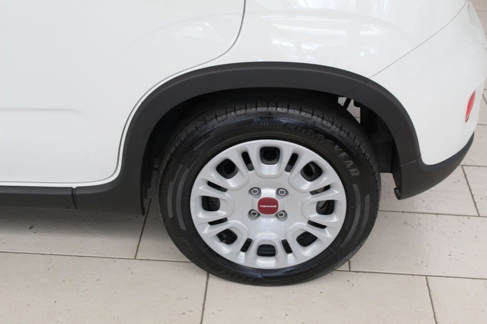 Fiat Panda Cross usata a Cremona (9)