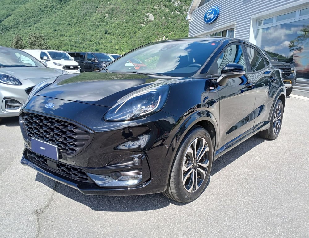Ford Puma usata a Belluno