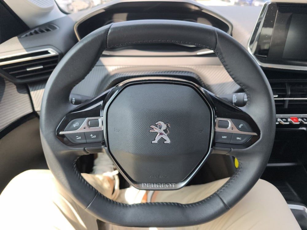 Peugeot 208 usata a Frosinone (15)