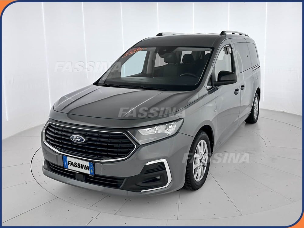 Ford Tourneo Connect usata a Milano (3)