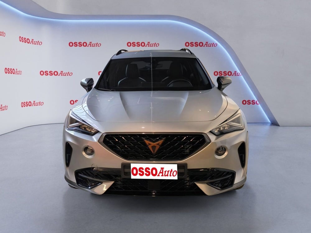 Cupra Formentor usata a Udine (5)