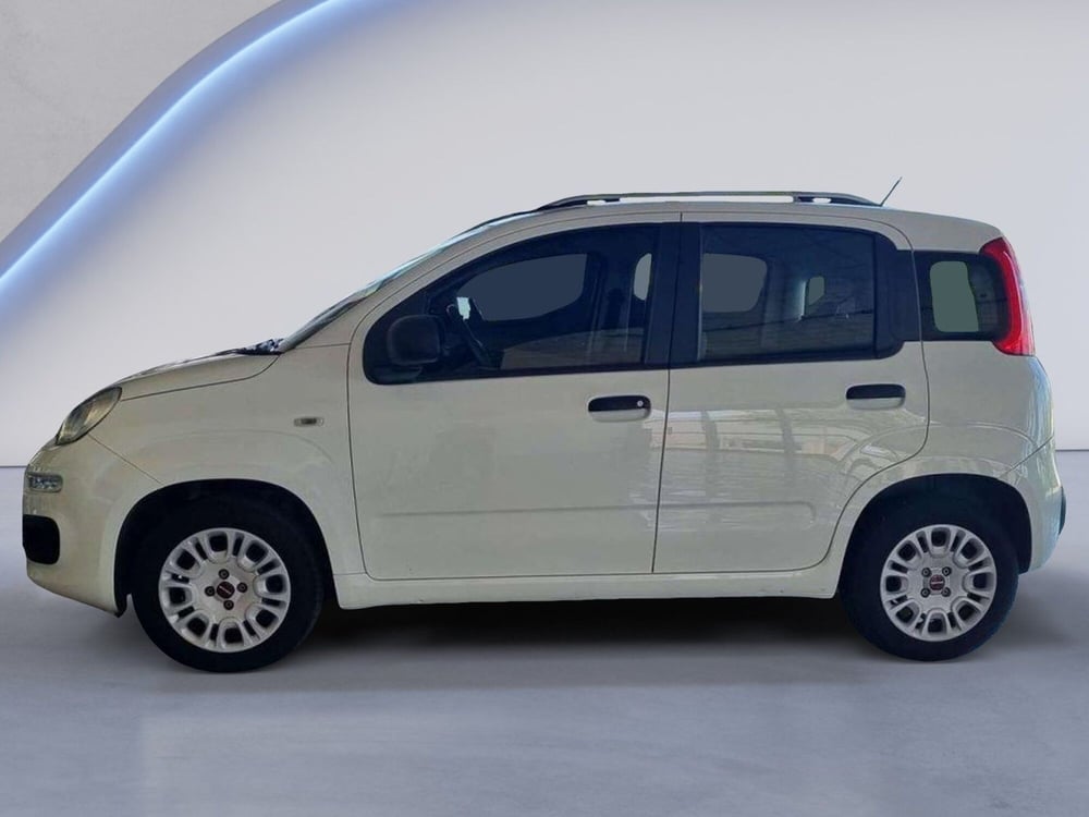 Fiat Panda usata a Padova (5)