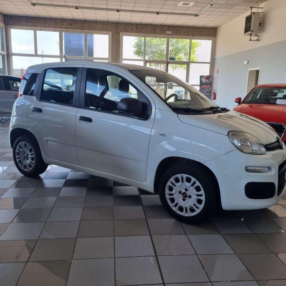 Fiat Panda usata a Padova (6)