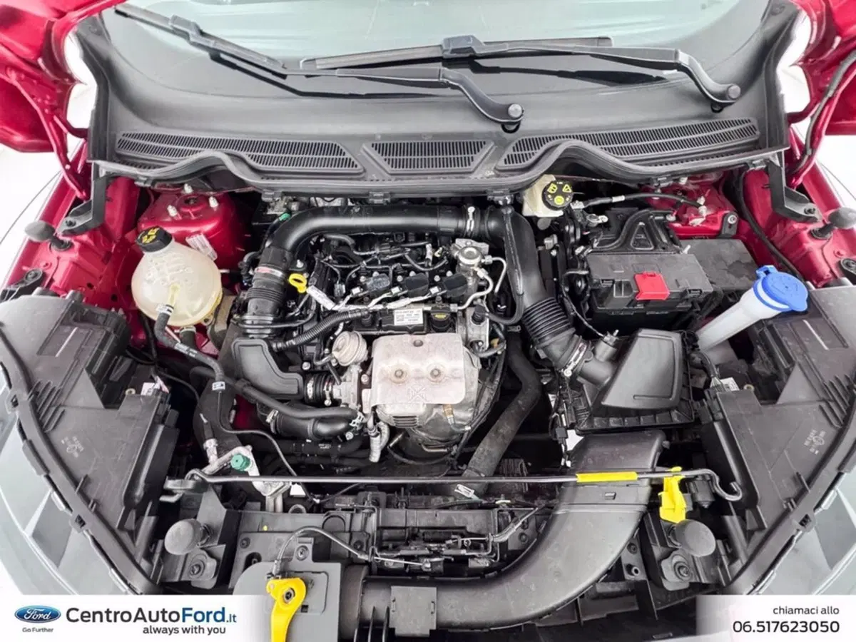 Ford EcoSport usata a Roma (12)