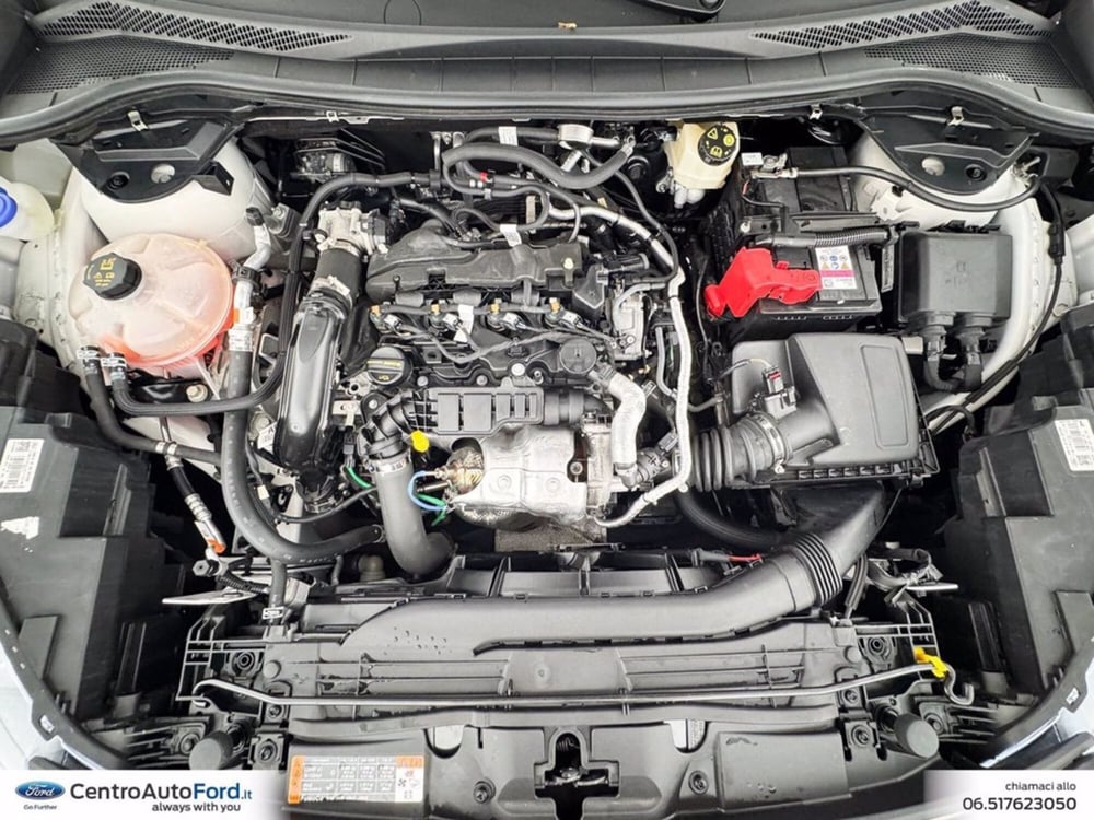 Ford Kuga usata a Roma (13)