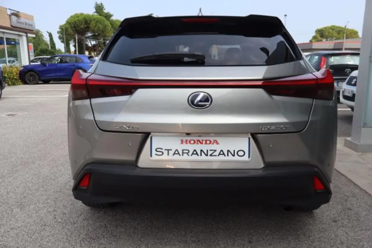 Lexus UX usata a Gorizia (10)