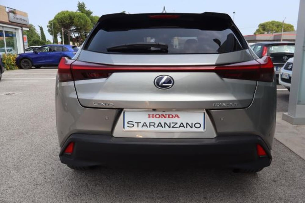 Lexus UX usata a Gorizia (10)
