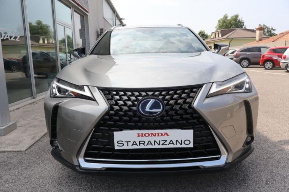 Lexus UX usata a Gorizia (7)
