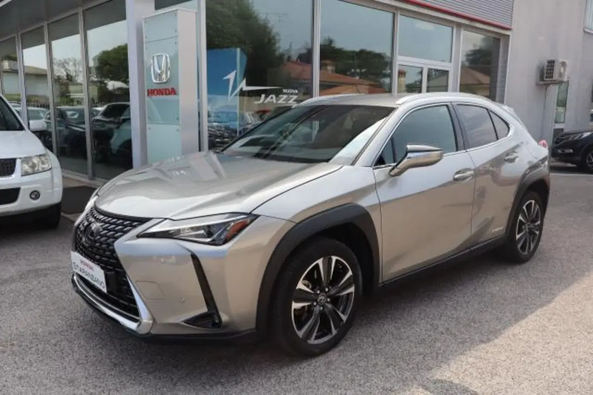 Lexus UX usata a Gorizia (8)