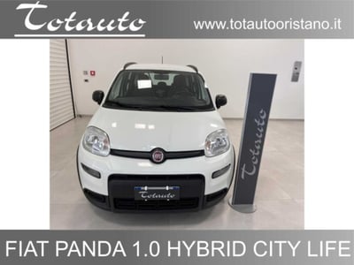 Fiat Panda 1.0 firefly hybrid s&amp;s 70cv 5p.ti del 2022 usata a Ghilarza
