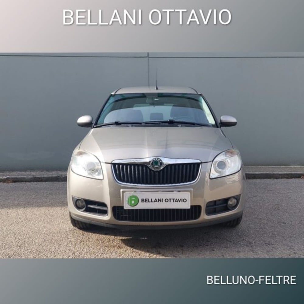 Skoda Roomster usata a Belluno (2)