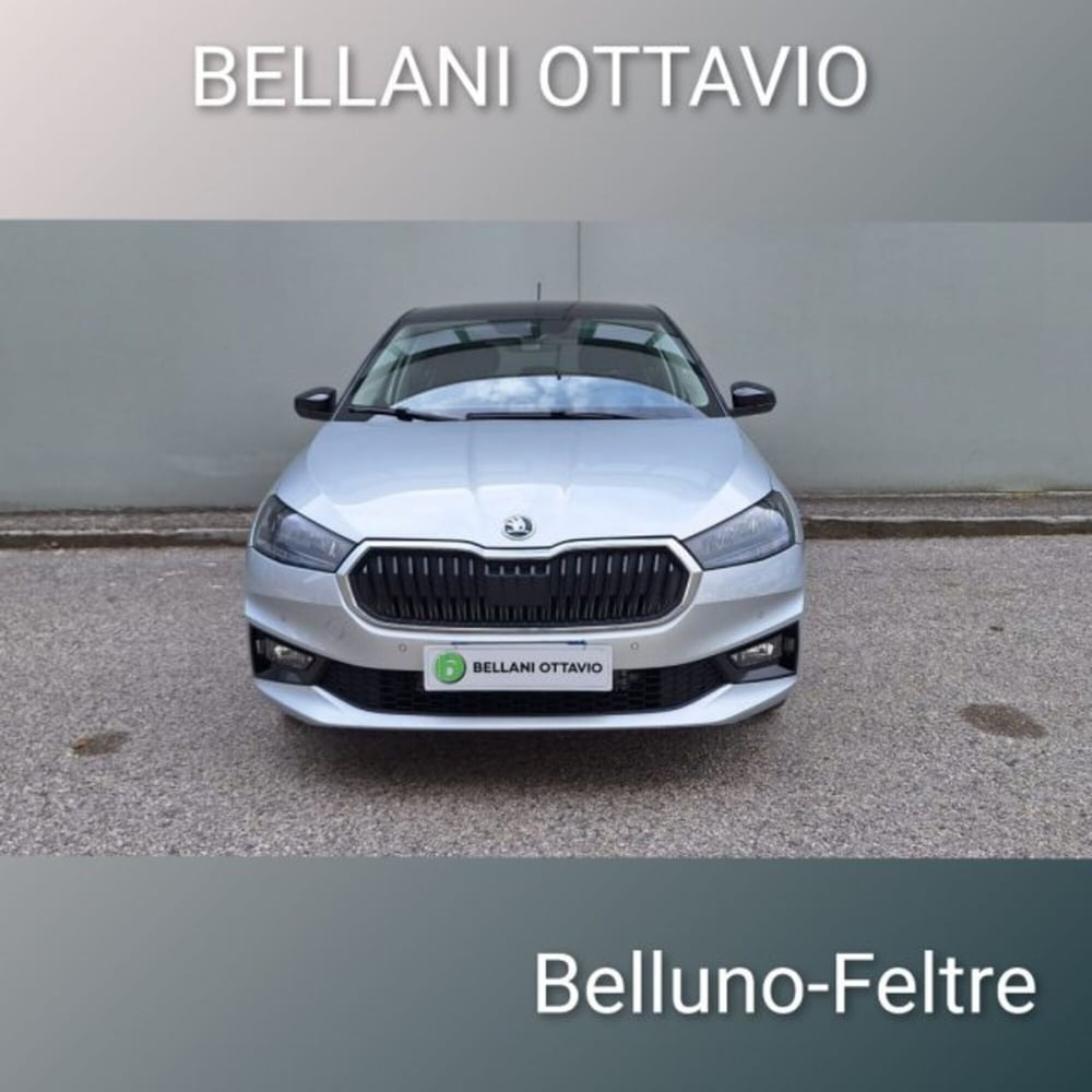 Skoda Fabia usata a Belluno (2)