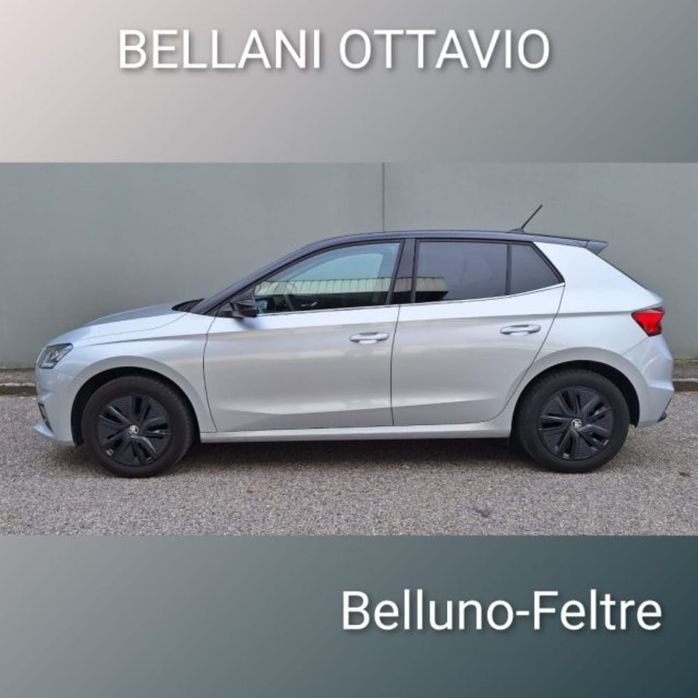 Skoda Fabia usata a Belluno (4)