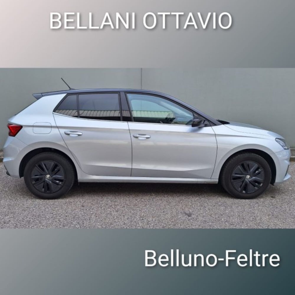 Skoda Fabia usata a Belluno (7)