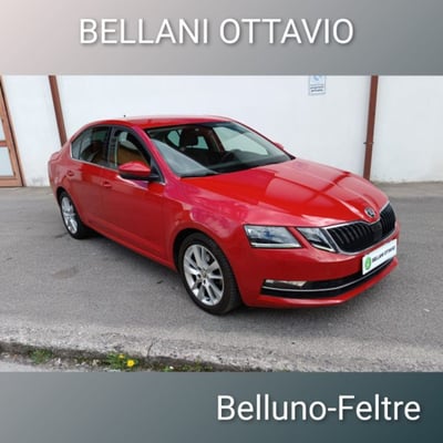 Skoda Octavia 2.0 TDI SCR 150 CV DSG Executive del 2019 usata a Feltre