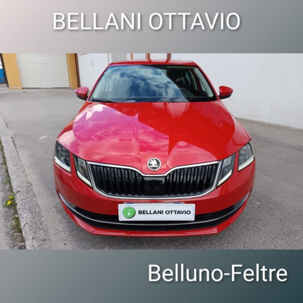 Skoda Octavia usata a Belluno (2)
