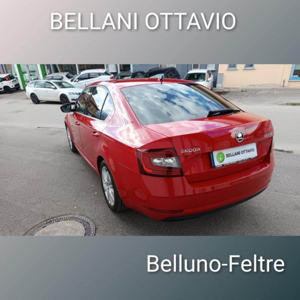 Skoda Octavia usata a Belluno (3)