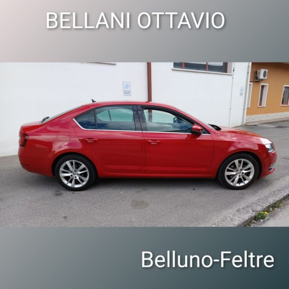 Skoda Octavia usata a Belluno (4)