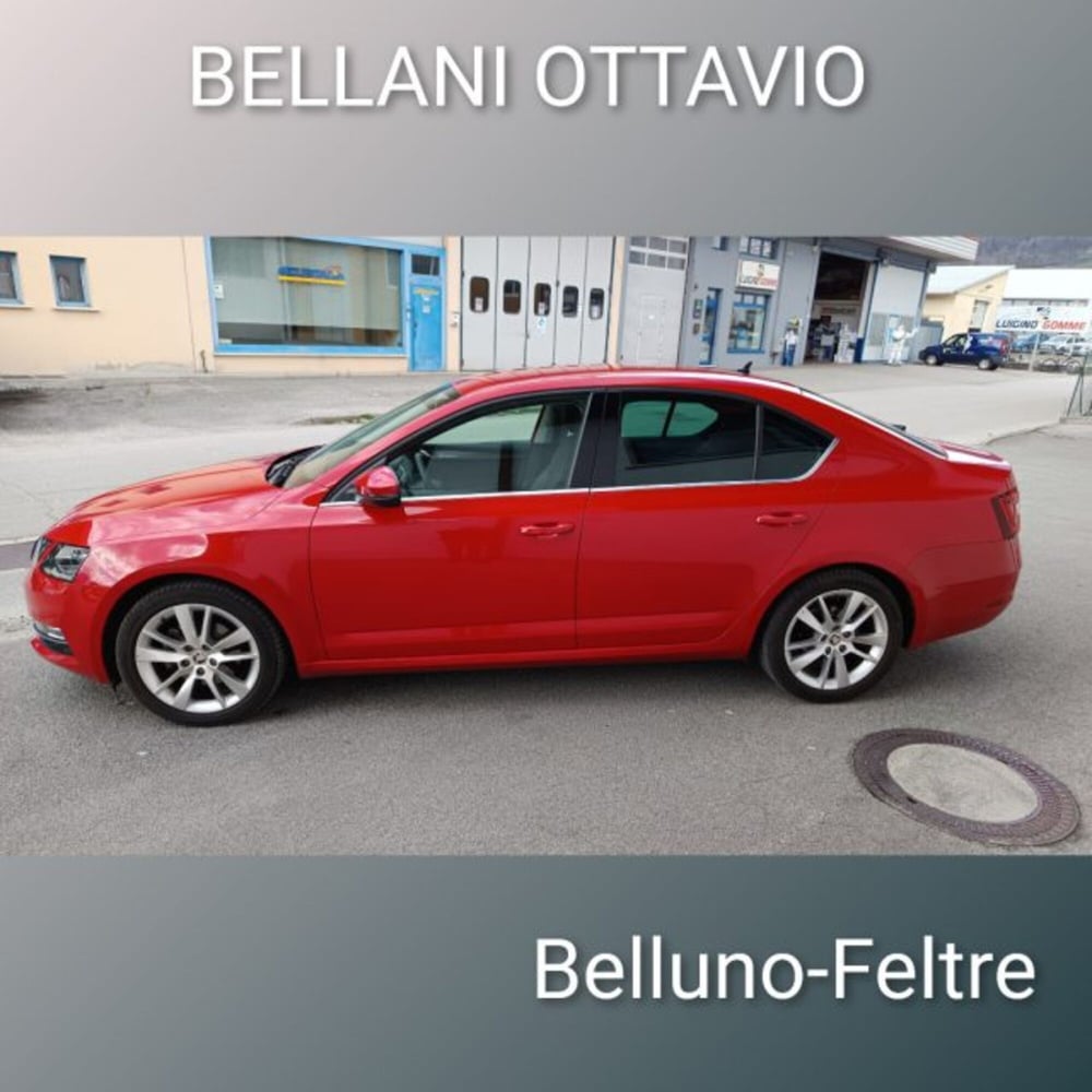Skoda Octavia usata a Belluno (5)