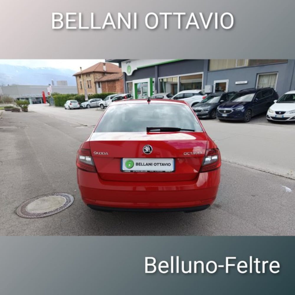 Skoda Octavia usata a Belluno (6)