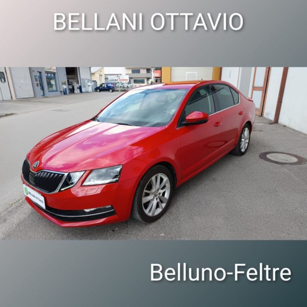 Skoda Octavia usata a Belluno (7)