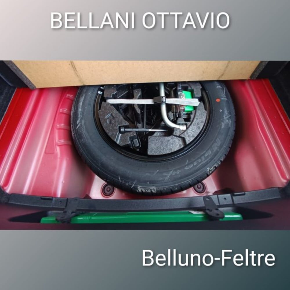 Skoda Octavia usata a Belluno (8)