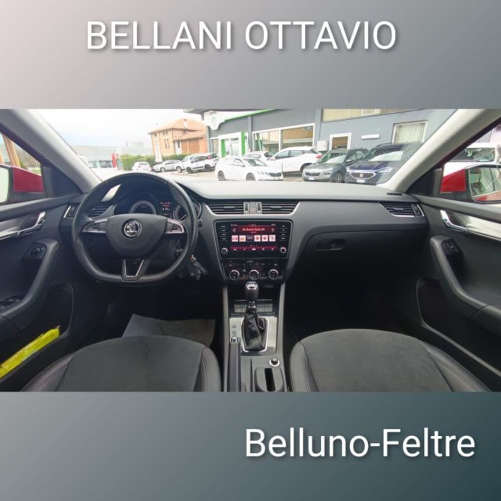 Skoda Octavia usata a Belluno (9)