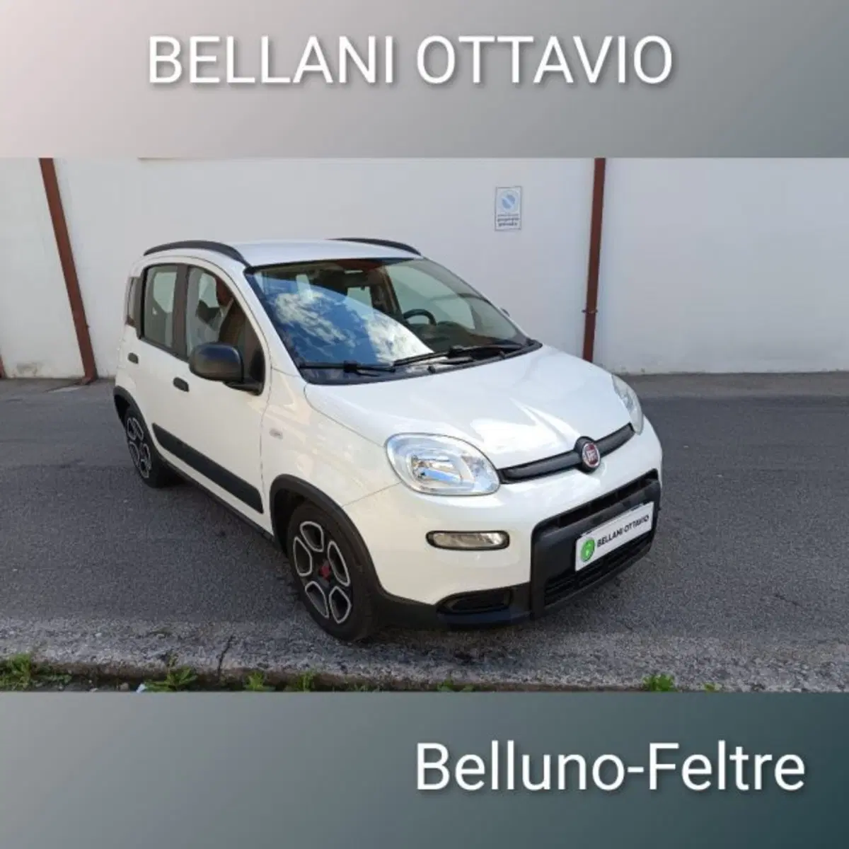 Fiat Panda usata a Belluno