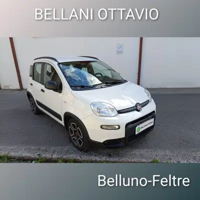 Fiat Panda 1.0 firefly hybrid s&amp;s 70cv 5p.ti del 2022 usata a Feltre