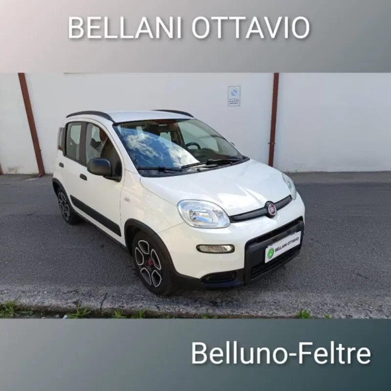 Fiat Panda usata a Belluno