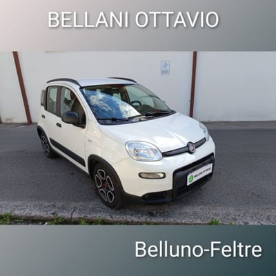 Fiat Panda 1.0 firefly hybrid s&amp;s 70cv 5p.ti del 2022 usata a Feltre