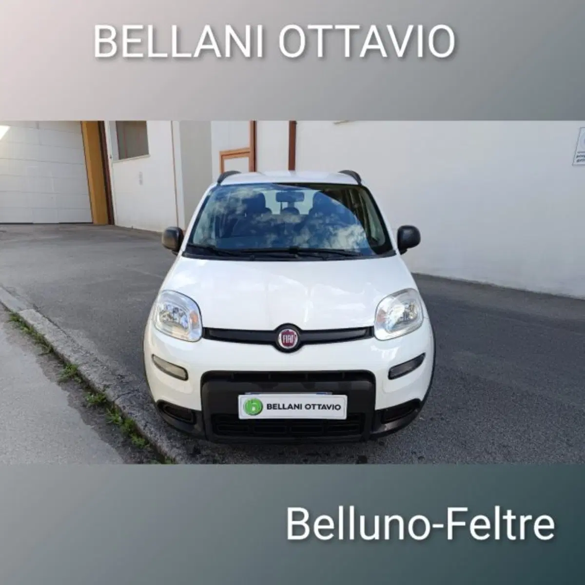 Fiat Panda usata a Belluno (2)