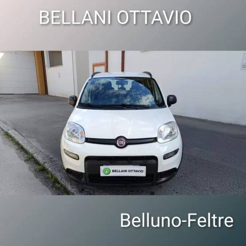 Fiat Panda usata a Belluno (2)