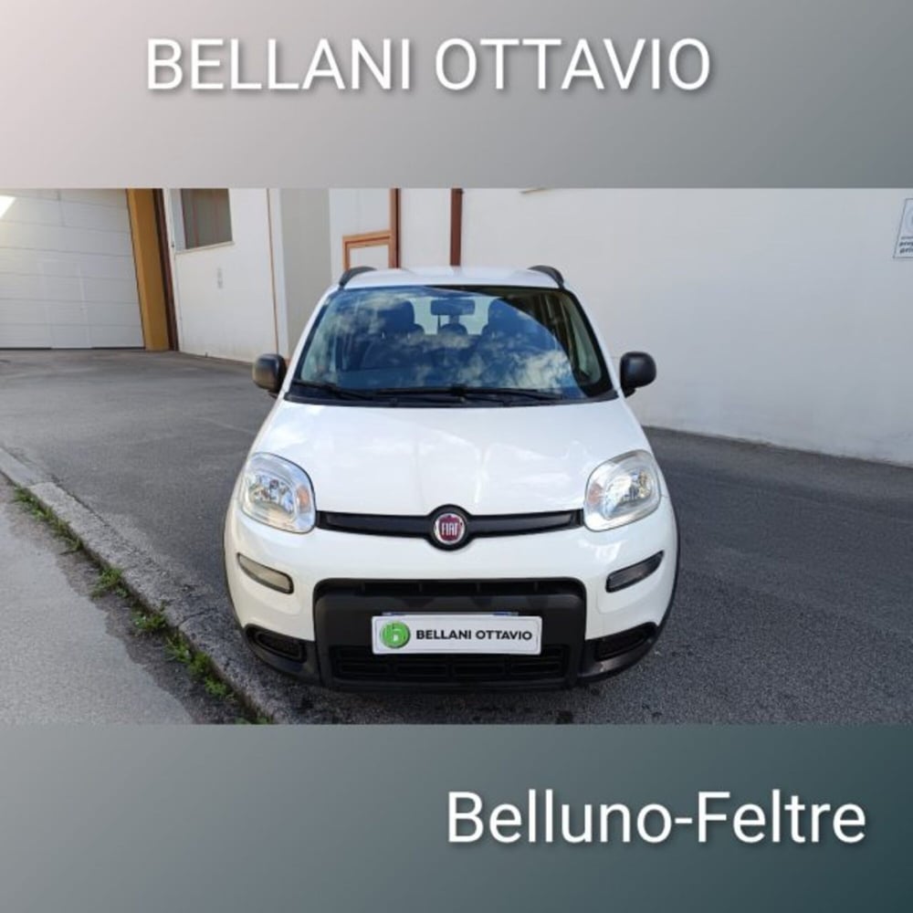 Fiat Panda usata a Belluno (2)