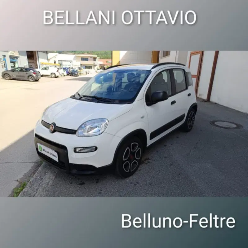 Fiat Panda usata a Belluno (3)