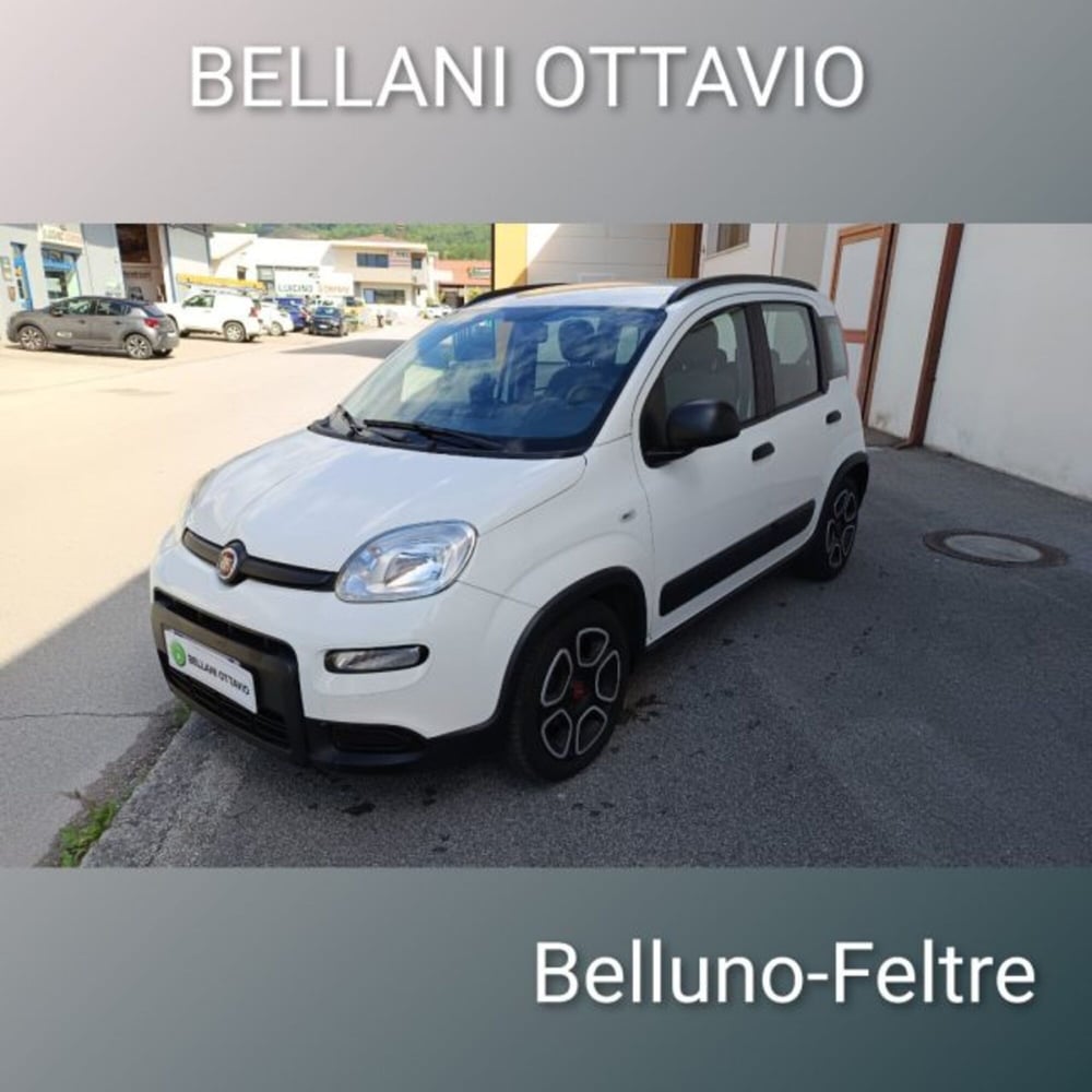 Fiat Panda usata a Belluno (3)